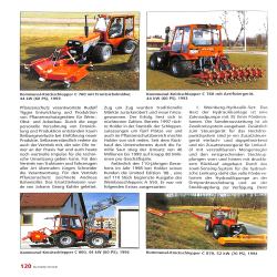 Die Grosse Holder Chronik