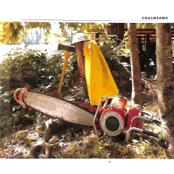 Chainsaws A History