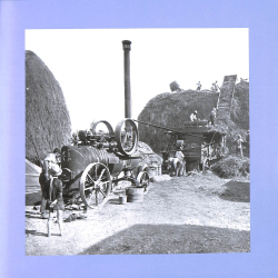 Batteuses, de nos campagnes