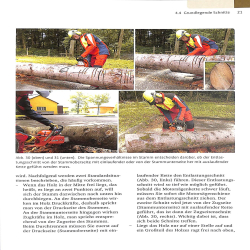 Sachkundenachweis Motorsage