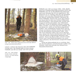 Sachkundenachweis Motorsage