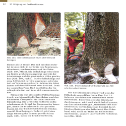 Sachkundenachweis Motorsage