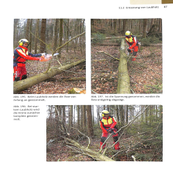 Sachkundenachweis Motorsage