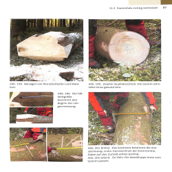 Sachkundenachweis Motorsage