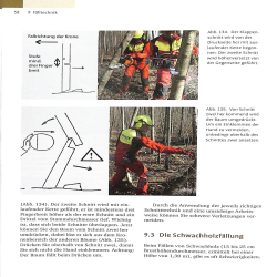 Sachkundenachweis Motorsage