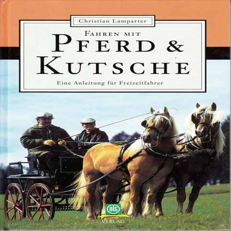 Pferd und Kutsche 