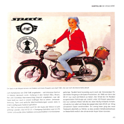 Das große Simson-Buch - Die Geschichte von Schwalbe, Sperber & Co.