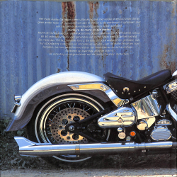 Harley's, de mens en zijn motor