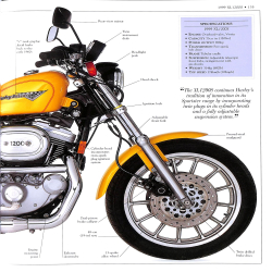 Ultimate Harley Davidson