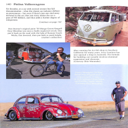 Patina Volkswagens