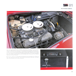 Shelby  Cobra - Mustang - GT40